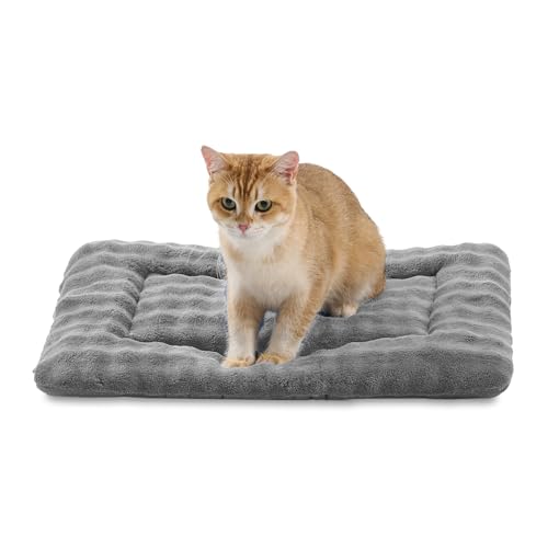 Yaning ybgxbh}bg N[gpbh L ^ \ \tg ybg X[sO}bg  pbh 3Doup^[ O[ 61.0 cm x 45.7 cm