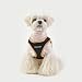 Puppia Soft Harness II - Weiches Westengeschirr für kleine und mittelgroße Hunde - sehr komfortabel und leicht anzuziehen, Schwarz, PUHB1770BKM