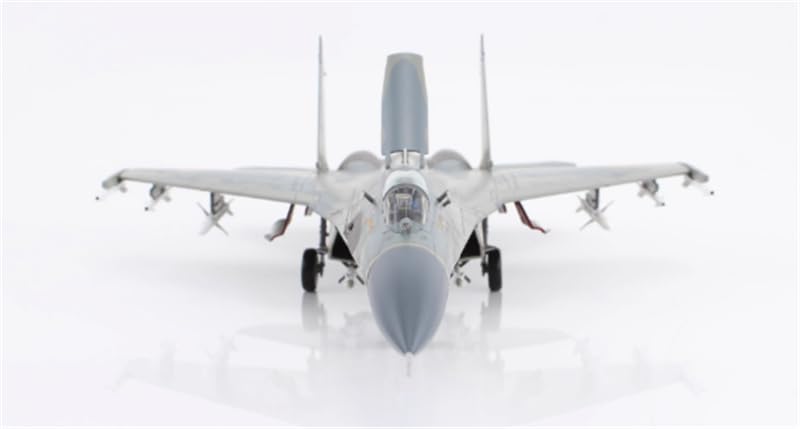 その他 Hobby Master 1/72 Su-27 Ukrainian HA6015 Amazon.co.jp: 1/72 完成品 ウクライナ for HOBBY MASTER SU-27