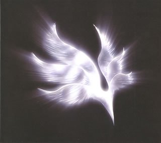 Album Orbital Period [DE Import] Haute Fidélité Sonore CD Audio