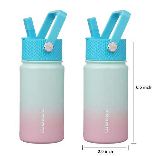 Image of BJPKPK Insulated Water Bottle, 15oz Stainless Steel with Straw Lid