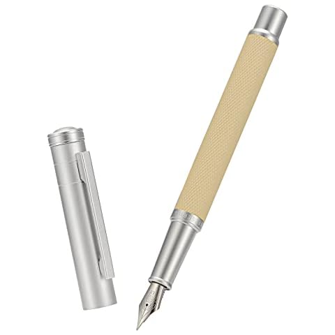 Stylo plume Hongdian Silver Birch Cover