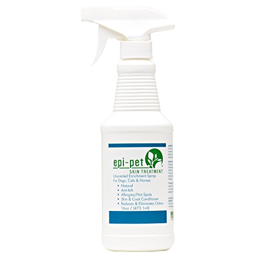 The Best Fly Repellents for Dogs