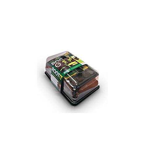 Kit de Bouturage ROOT!T