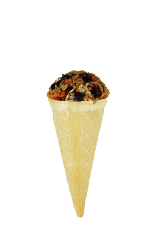 A&E Cage Company - A&E Cage Company Vitapol Ice Cream Cone 12-count