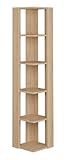 Dimensions : longueur 34 x profondeur 34 x hauteur 161 cm