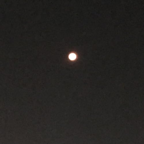 Midnight Movie Confessionals: Bad Boys Ride Or Die