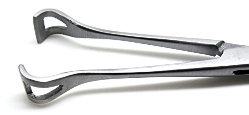 Veterinary Forceps Babcock 6.4" Intestinal Stainless Steel Instruments - Thumbnail 5