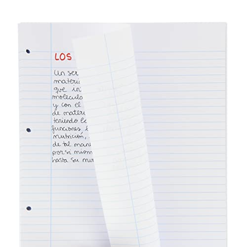 Oxford, A4-Blätter, liniert, perforiert, 200 Blatt