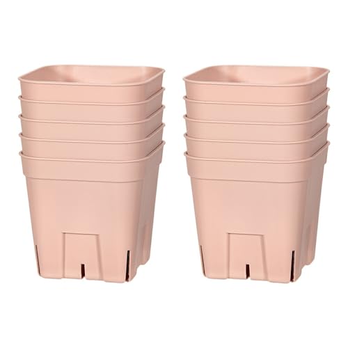 v~AvXe XO^ sN POZbg