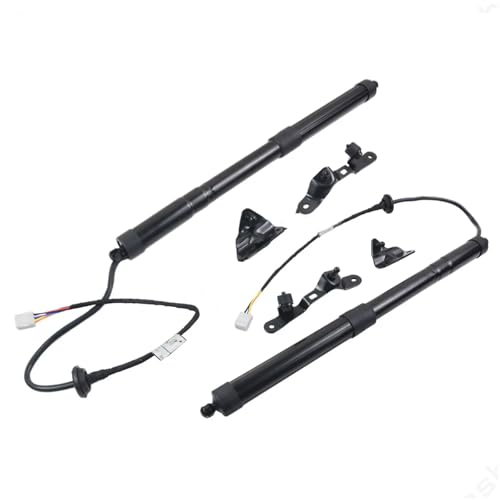 Vérins de hayon électriques pour réparer le coffre bloqué de votre Toyota RAV4 2013-2018