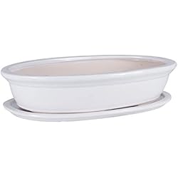 Macetas Ceramica Para Bonsai Cuenco para bonsai con forma de árbol, para jardín, cerámica, maceta, maceta, maceta, plato para flores, color blanco, 6 tamaños (19)