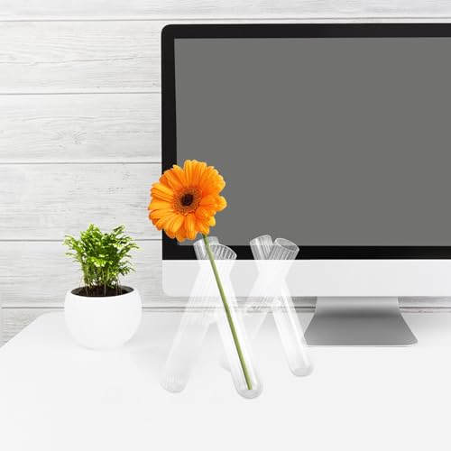 Decoración hidropónica de mesa con jarrón de vidrio de 4 tubos 7