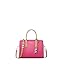 Silver-tone Hardware/Leather/Raspberry Multi