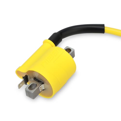 image for NIBBI Ignition Coil for 2/4 Stroke Motorcycle,High Performance Ignitio