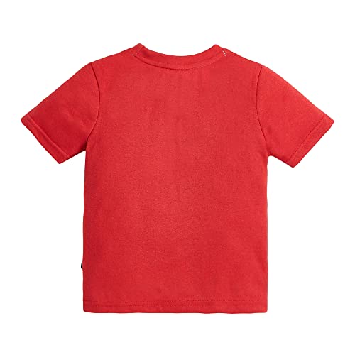 Image of Hopscotch Boys Cotton Graphic Print Tee in Red Color