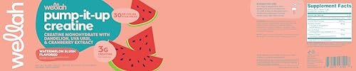 Image of Wellah Creatine for Women (Watermelon Slush) 30 Stick Packs - 3g of Creatine Monohydrate with Dandelion & Cranberry Extract, to-Go Packets