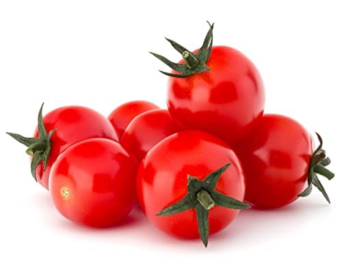Tomato Plants, 'Sweet Aperitif', 12 x Plug Plant Pack, Garden Vegetables, Tomatoes Ready to Plant, Tomatoes, Garden Ready, Premium Quality Tomatoes