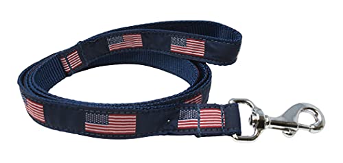 American Flag Dog Leash, 6ft Long, 1in Wide, Embroidered Flags on Nylon Webbing