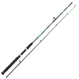 Sougayilang Spinning Rods, Strong Carbon&Glass Composite Fishing Pole with Stainless Steel Line Guides for Catfish- 7'0"- Green
