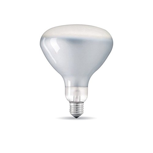 LED-Leuchte E27 R125 8W 230V 2700K 750lm dimmbar Frosted für Parentesi-Leuchte von Flos