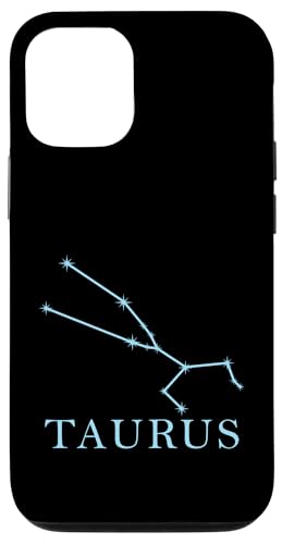 ���� ���� �������� �X�}�z�P�[�X iPhone 12/12 Pro �p