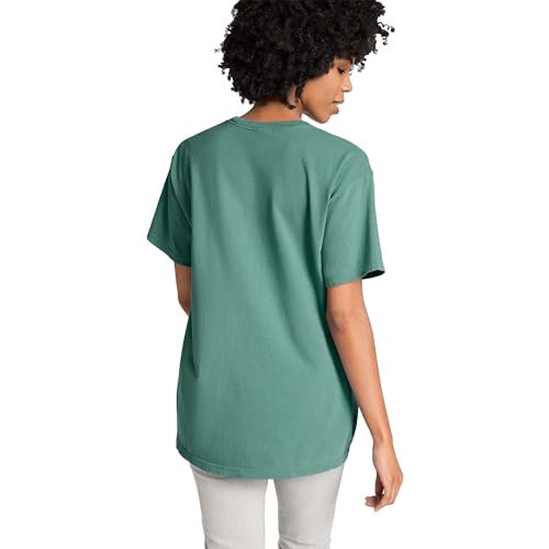 Comfort-Colors-Adult-Heavyweight-Short-Sleeve-Tee-Style-G1717G1745