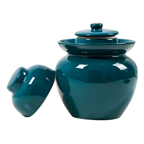 DOITOOL Potes de cerâmica fermentação 3L pote de fermentação de porcelana chucrute pote de grés com