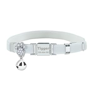 Personalized Safety Elastic Cat Collars with Bell,Laser Customized Stretch Kitten Collars for Girls Boys Cats-White
