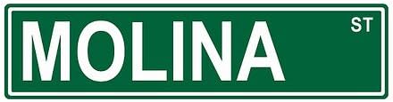 Slap-Art Molina St. Street Sign 24x6 Funny Joke Humor Novelty Metal Aluminum Sign