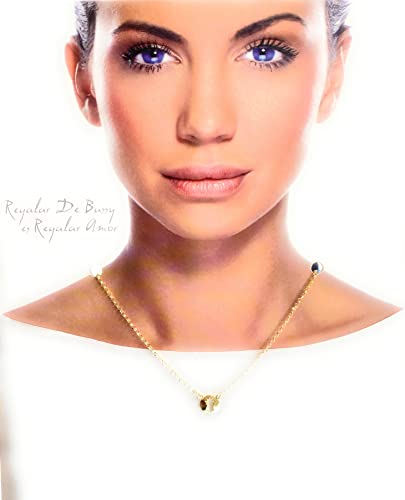 Gargantilla Virgen Pilar Plata de Ley: Elegancia y Fe