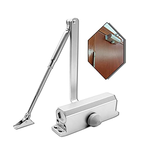 Small Frog Automatic Door Closer Adjustable Spring Hydraulic Buffer Door Stopper Speed Mute Closing, Aluminum Alloy Material,Door Closers Residential For 30 45Kg 66Lb 99Lb Door Silver #TOP1
