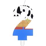 iNINGER ナンバー2 バースデーキャンドル トイテーマ ケーキトップ、漫画ナンバー2キャンドル、カウボーイツーケーキデコレーション、ベビーシャワーのカウガールパーティー 男の子 女の子 誕生日用品