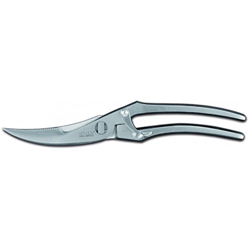 Sanelli Ambrogio Forbici per pollame, Acciaio Inossidabile, divisibile cm 24, Inox, Multicolore, Unica
