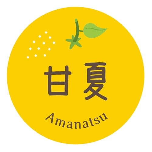 [ChC񂽂]݂iV[ É 034 ی`40~120 ~Jx POP ݂̑