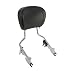 TCMT Detachable Backrest Sissy Bar Fits For Harley Davidson Touring Special FLHXS 2009-2020