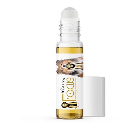 The Blissful Dog Shetland Sheepdog Focus Dog Aromatherapy for Canine Concentration