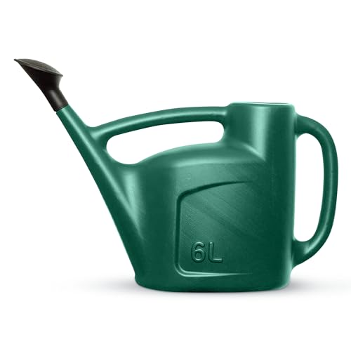 CUQOO 6L Watering Can with Detachable Sprinkler Rose Head - Lightweight Indoor Watering Can for House Plants - Multipurpose Watering Can Outdoor for Watering Garden Plants, Flowers, Hanging Plants