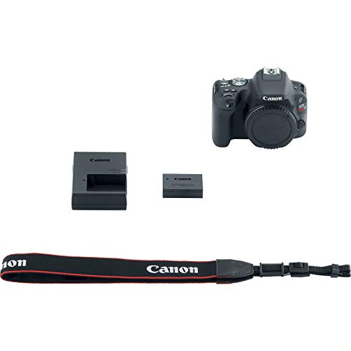 Cámara DSLR Canon EOS Rebel SL2 24.2MP con lente EF-S 18-55mm miniatura 4