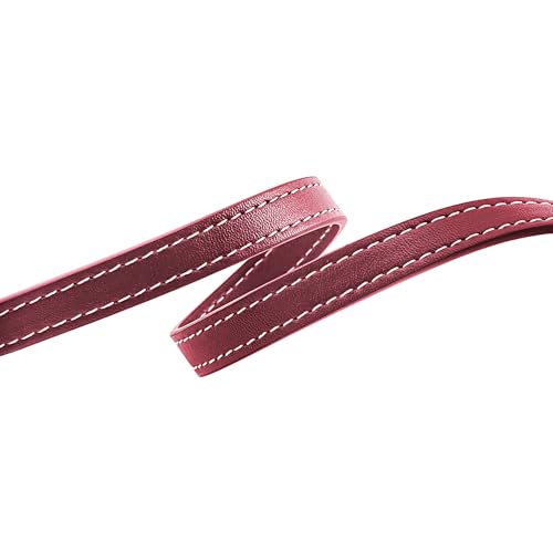 Image of Jiesinlov 2 Pcs Bag Microfiber Leather Strap Replacement Shoulder Straps for Mollie 25 Tote Handbag(Burgundy)