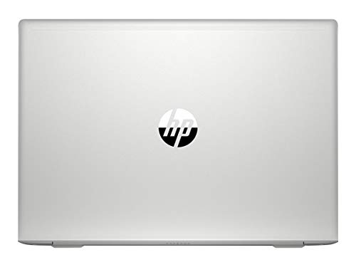 ProBook 455 G7 15,6"FHD R5-4500U 8GB/1TB+256GB SSD Win10 Pro 175W5EA