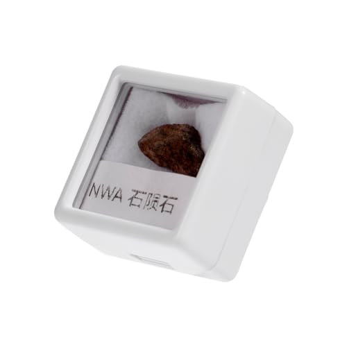 OKUMEYR Meteorite Specimen Meteorite Ornament Classroom Teaching Meteorite Irregular Stone Specimen Olive Meteorite Teaching Tool Meteorite Adornment Meteorite Rock Teaching Stone Specimen