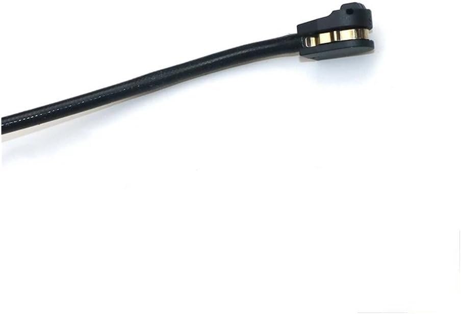 ホロンベンセ　現地球 ホロンベンセ パキポディウム 現地球 【公式通販】