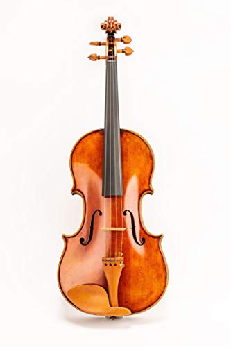 D Z Strad Viola Model N2011 with D Z Strad Bow, Case, Rosin and Shoulder Rest (Size - 16')