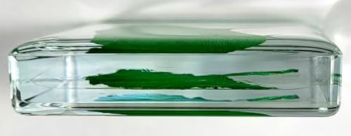 Image of 48mm Real Green Ginkgo Biloba Leaf in Crystal Clear Lucite Resin Specimen Dried Pressed Botanist Herb Herbarium Crafts Collection for Botany Science Education & Desk Ornament Display Supplies