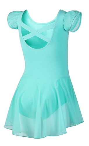 Image of DIPUG Ballet Leotards for Girls Ballet Leotard with Skirt Toddler Dance Leotards Flutter Sleeve and Criss-Cross Back