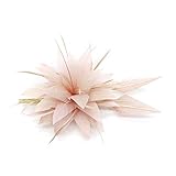 imagenes de tocados con plumas para carnaval Ten en cuenta que el color del tocado puede variar ligeramente debido a la resolución de píxeles en algunas tabletas, teléfonos y computadoras.