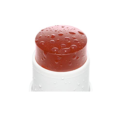Undone Beauty Water Blush Stick With Coconut Water For Radiant, Dewy Glow - Blends Perfectly Into Skin For Natural Looking Flushed Cheeks - Vegan And Cruelty Free - Peach, 0.19 Oz (5 G) #TOP1