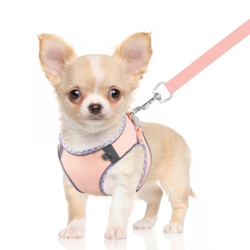 Doggiekit Hundegeschirr Kleine Hunde mit Leine, verstellbares reflektierendes Step in Welpengeschirr Leine, Atmungsaktives Mesh Hundegeschirr,weich gepolsterte Weste für extra kleine/mittelgroße Hunde