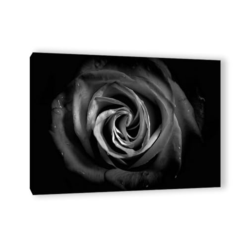 Toile rose rouge et fond noir et blanc pour sublimer la décoration murale de votre salon